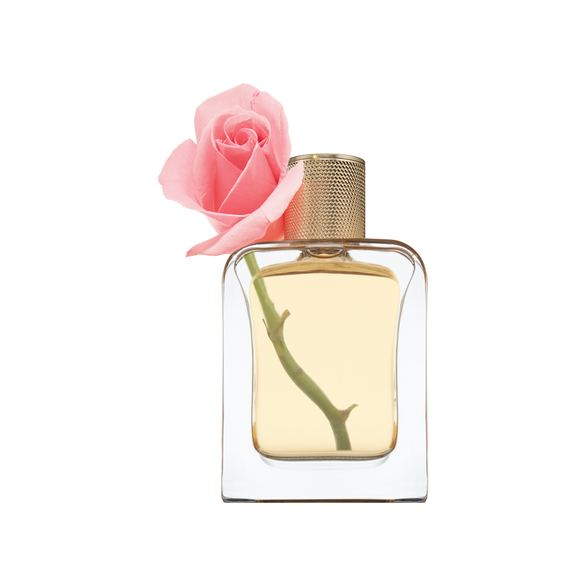 Veronique Gabai - Desert Rose Eau de Parfum