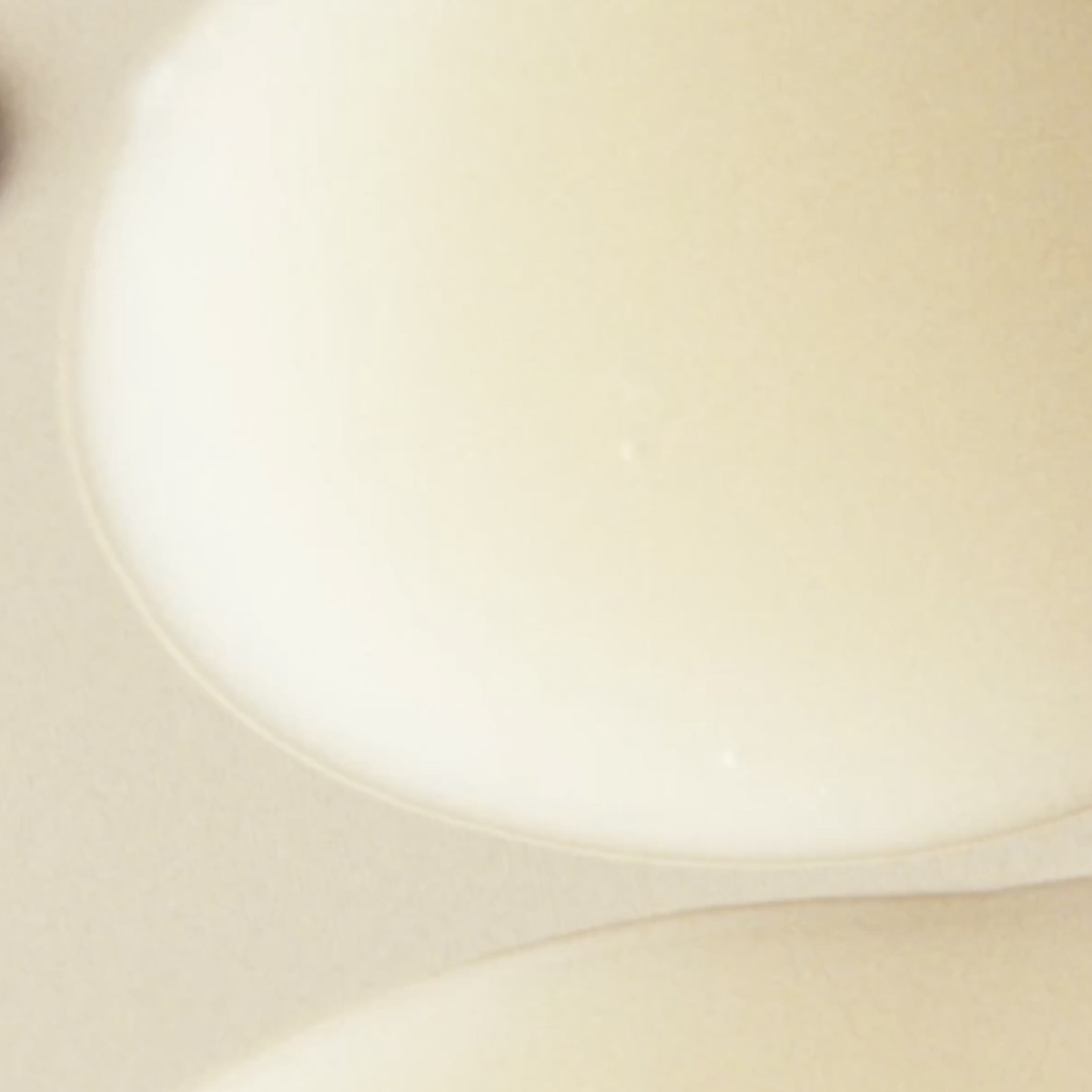 Kat Burki - Bio-Ferment Scalp and Hair Treatment
