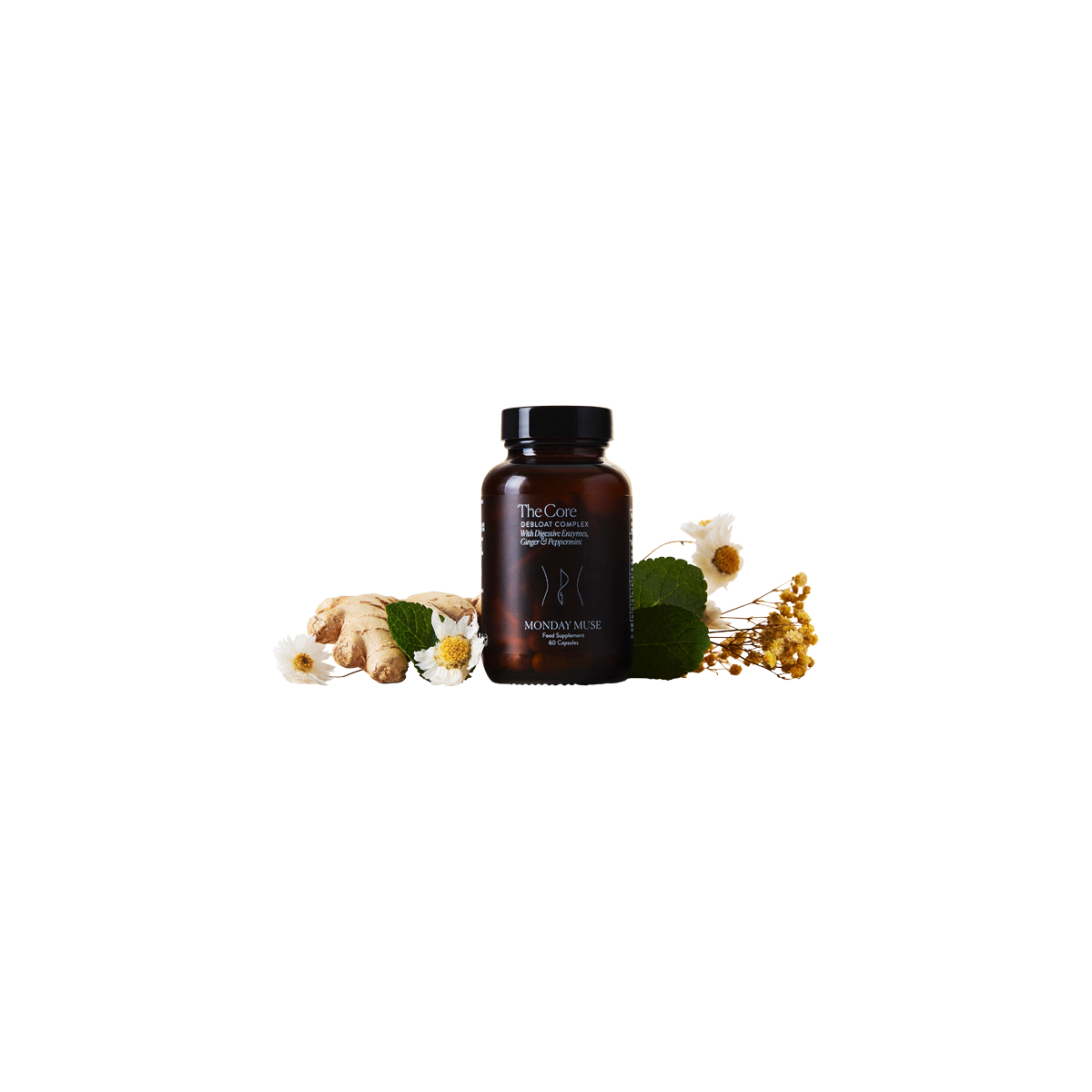 Monday Muse Skin - The Core Debloat Complex